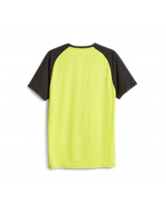 Koszulka męska Puma Fit Triblend Ultrabreathe 2