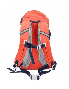 Plecak trekkingowy CMP Looxor 2