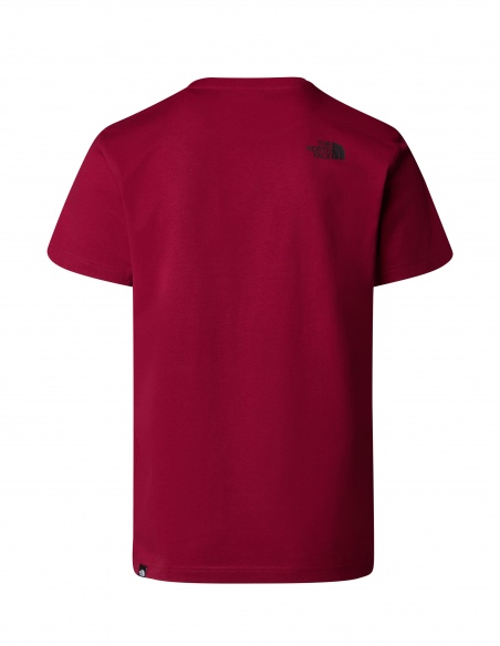 Koszulka męska The North Face Simple Dome Tee