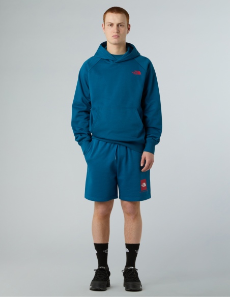 Bluza z kapturem męska The North Face Raglan Box NSE Hoodie
