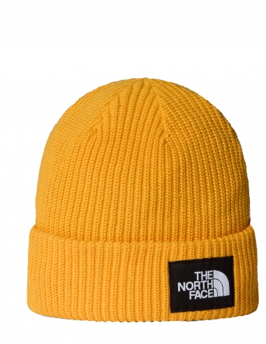 Czapka zimowa The North Face Salty Lined