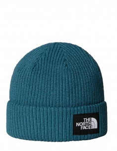 Czapka zimowa The North Face Salty Lined