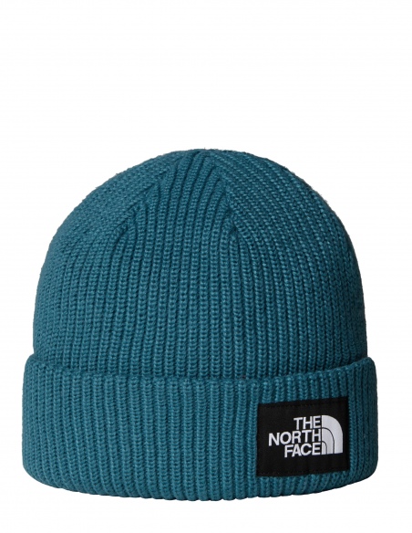 Czapka zimowa The North Face Salty Lined