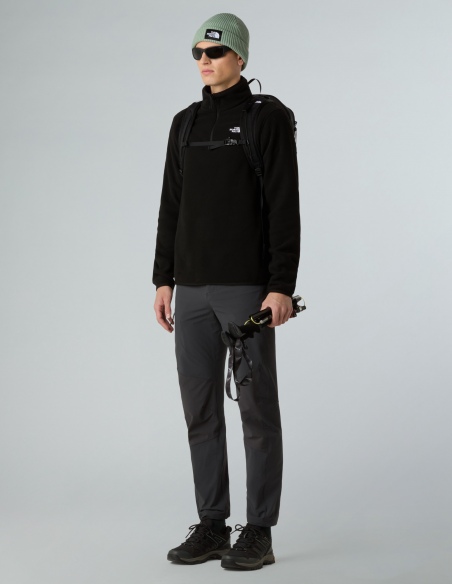 Polar The North Face Glacier Fleece 1/4 Zip