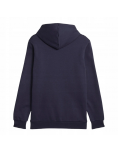 Bluza męska Puma Essentials+ Two-Tone Big Logo 2