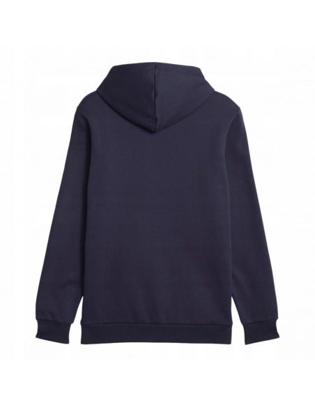 Bluza męska Puma Essentials+ Two-Tone Big Logo