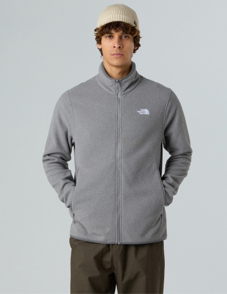 Polar męski The North Face Glacier