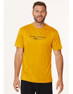 Koszulka sportowa męska Endurance Dipat