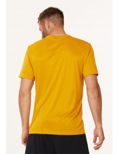 Koszulka sportowa męska Endurance Dipat 2