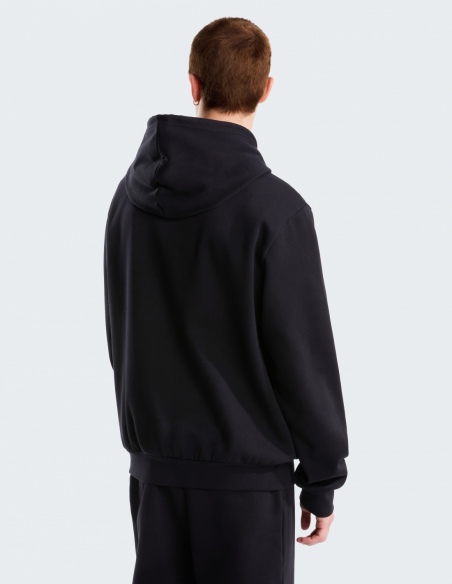 Bluza z kapturem męska The North Face Evolution Simple Dome, czarny, tył