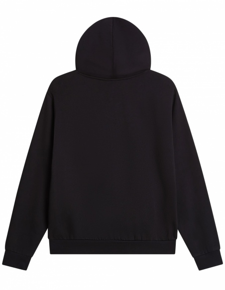 Bluza z kapturem męska The North Face Evolution Simple Dome, czarny, tył