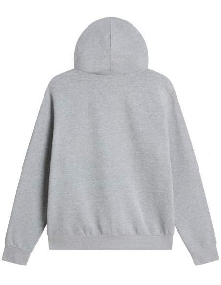 Bluza z kapturem męska The North Face Evolution Simple Dome, szary, tył