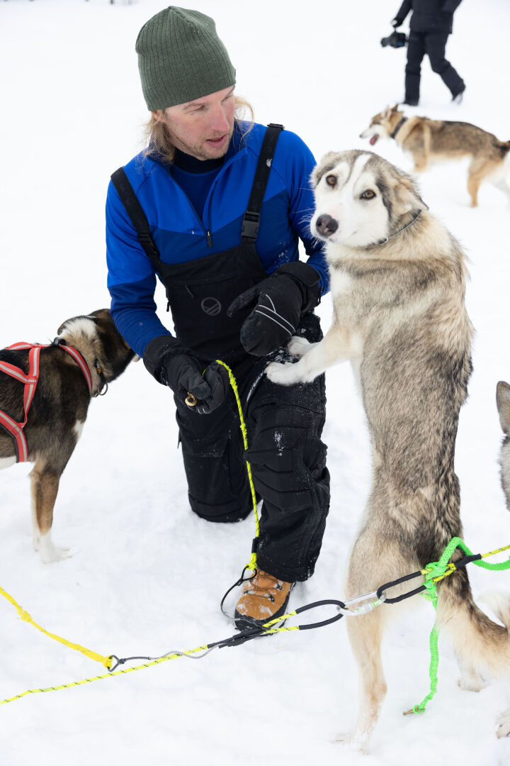 Bluza trekkingowa z kapturem męska Halti HeatGrid