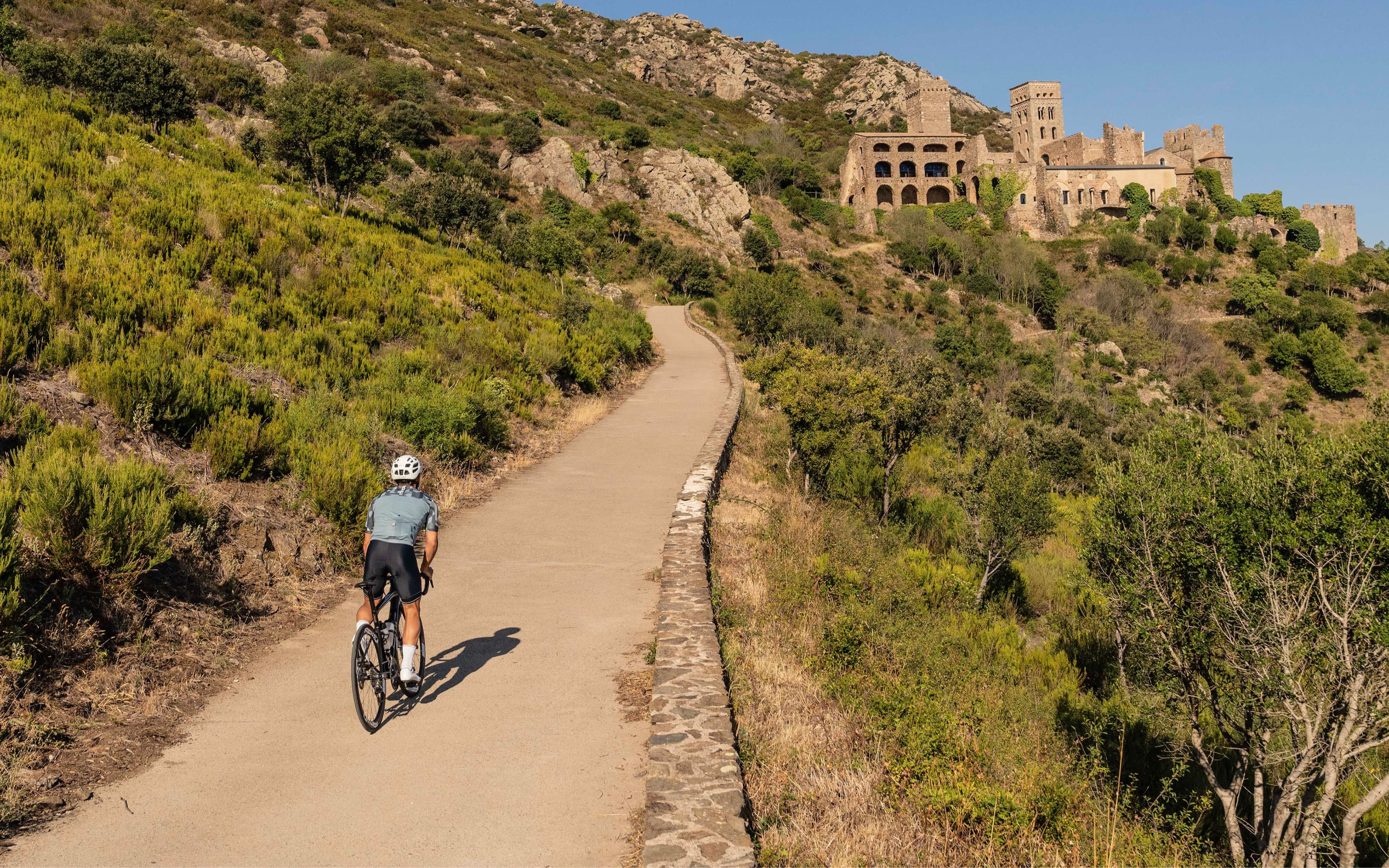 Koszulka rowerowa męska Rogelli Essential Graphic