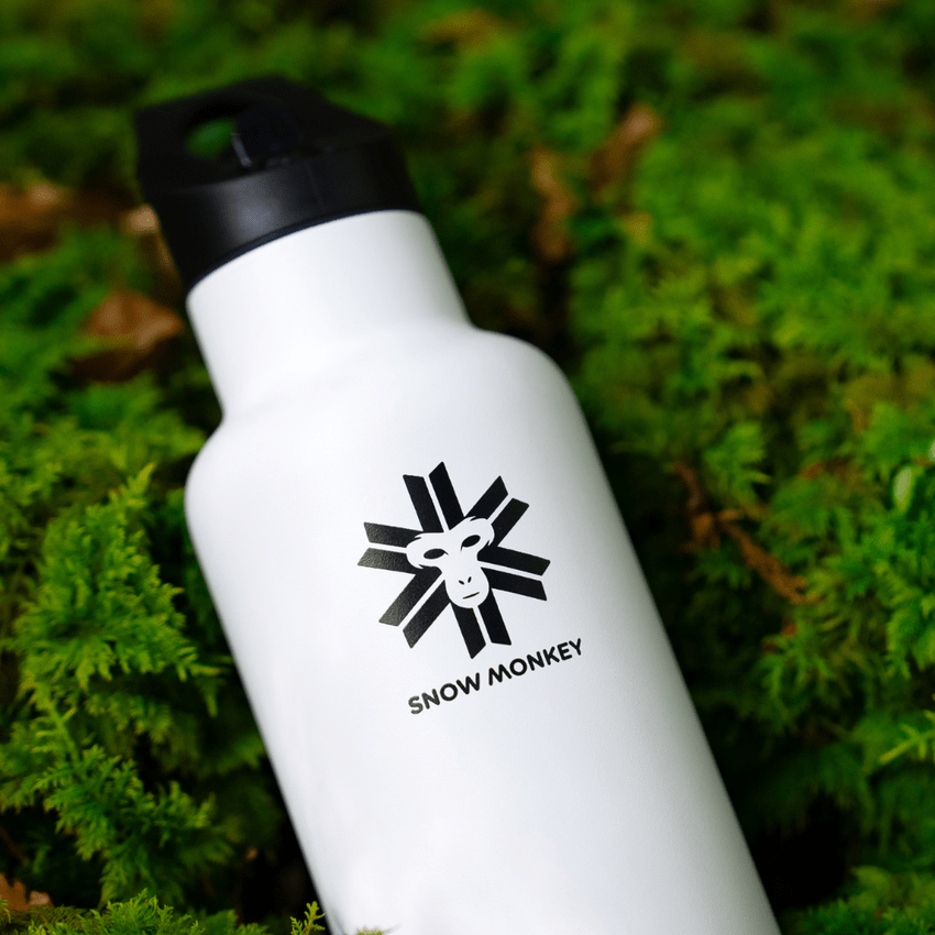 Snow Monkey