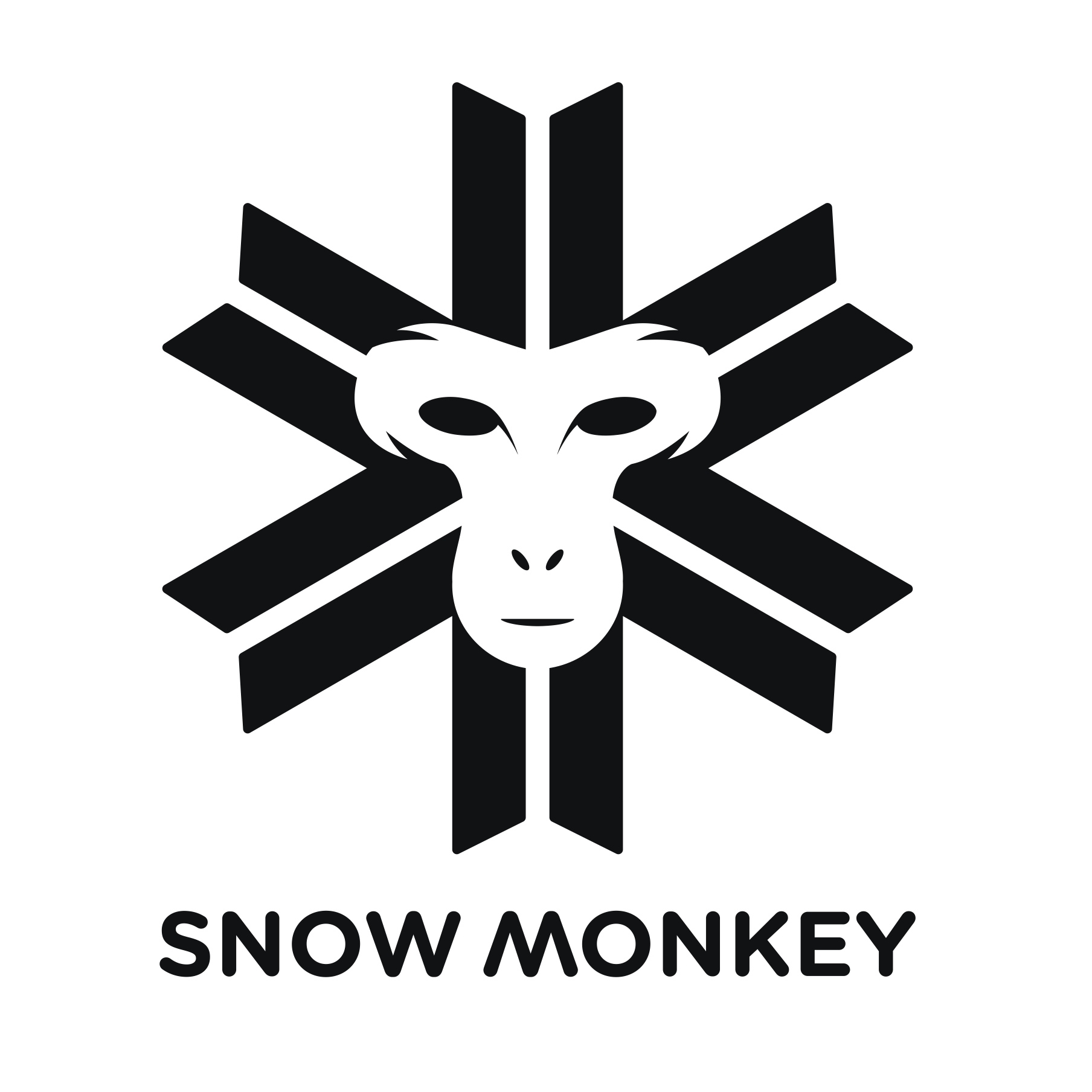 Snow Monkey