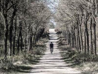 Spodnie rowerowe sportowe - jakie są?